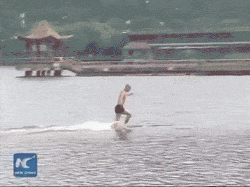 IMG_8412.gif
