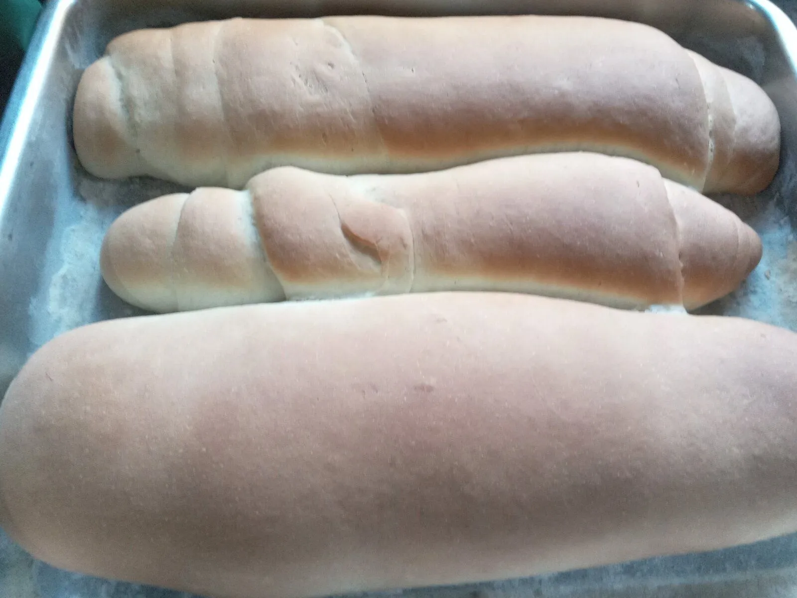 IMG_8416.webp