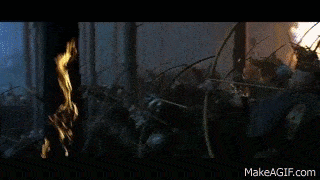 IMG_8508.gif