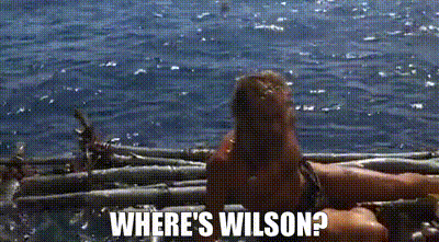 IMG_8515.gif