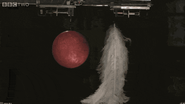 IMG_9165.gif