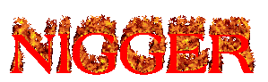 IMG_9306.gif