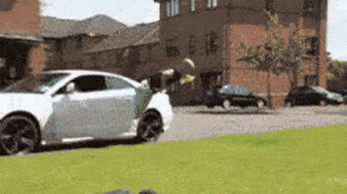 IMG_9403.gif