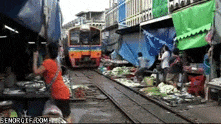 IMG_9411.gif