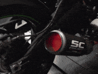 IMG_9496.gif
