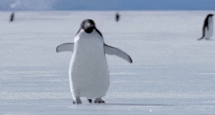 IMG_9630.gif