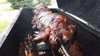IMG_9770.gif