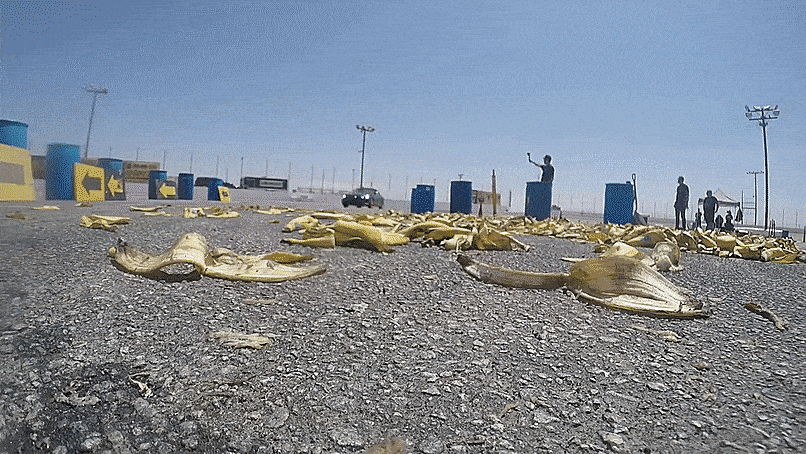 IMG_9818.gif
