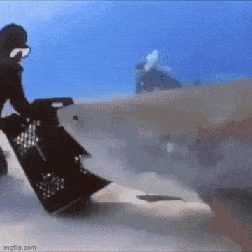 IMG_9856.gif