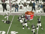 IMG_9888.gif