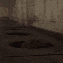 IMG_9924.gif