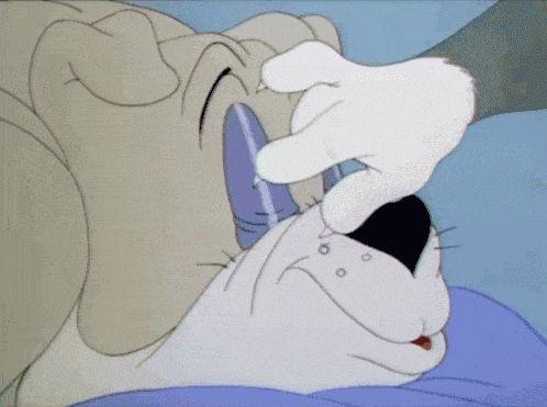 IMG_9955.gif