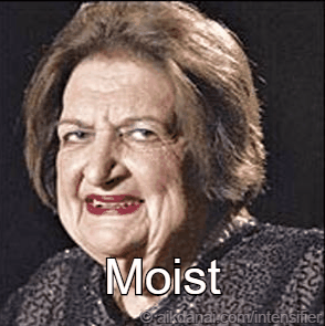 ImportantMemorableAllensbigearedbat-max-1mb.gif