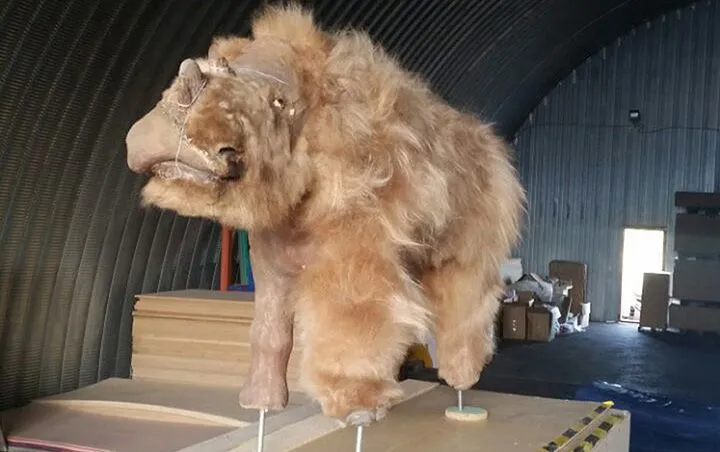 intact-young-woolly-rhino-melting-permafrost-2.webp