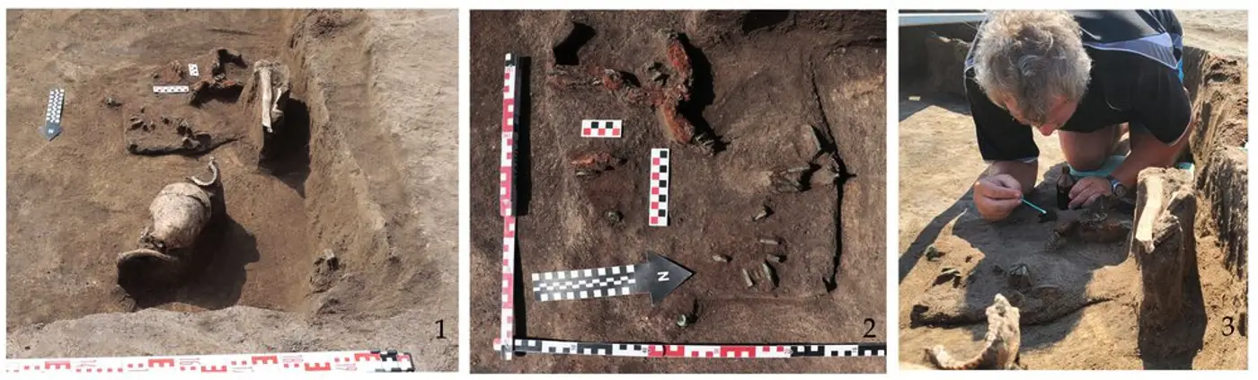 Items from the investigated mounds.webp