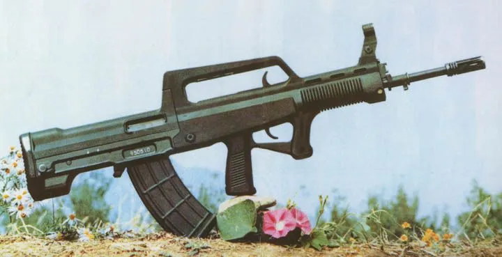 its just an AK with a body kit.webp
