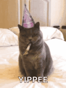 its-more-fun-watching-than-doing-yay.gif