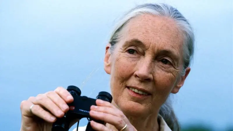 Jane-Goodall.webp