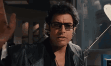 jeff-goldblum.gif