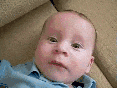 jnQYWZ0T4mkhCmkzcn (1).gif