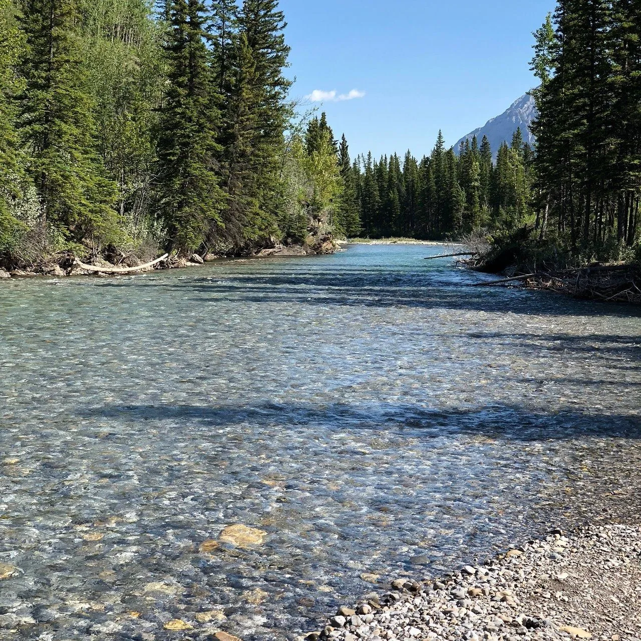 kananaskis river 1.webp