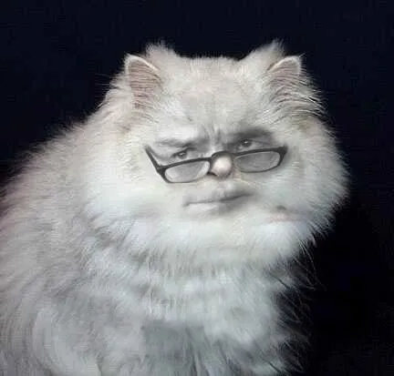 katze ernst.jpg