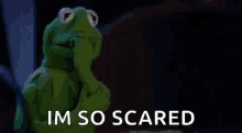 kermit-the-frog-unacceptable.gif