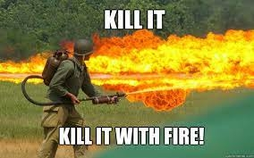 Kill it with fire.webp