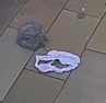 knickers.webp