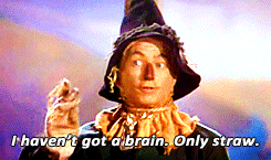 knvA5hSZVUDpC.gif