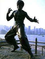 kung fu.webp