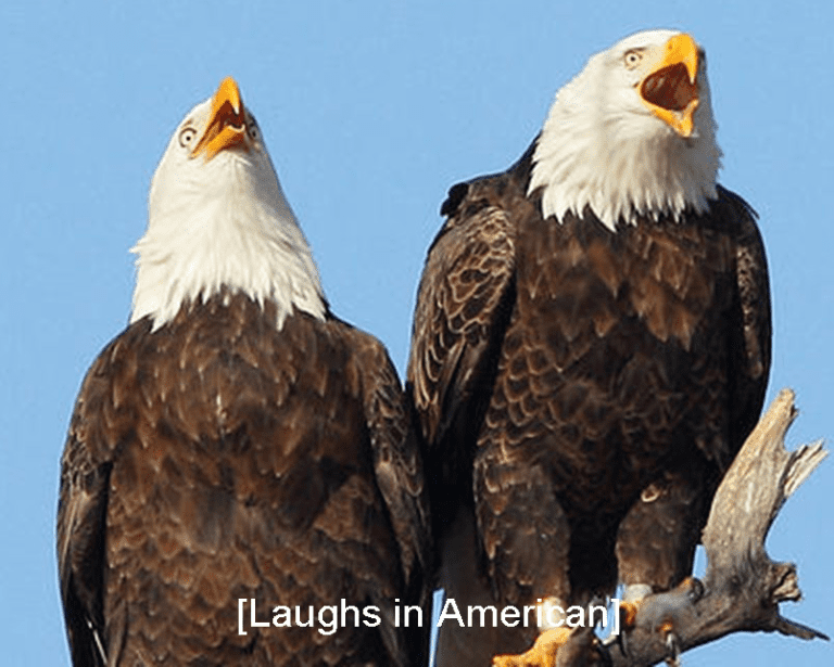 Laughs-in-American-768x615.png