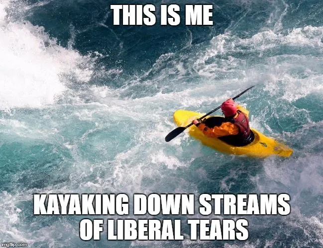liberal-tears-snoflakes.webp