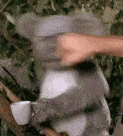 LiveLeak-dot-com-14_1577679660.gif