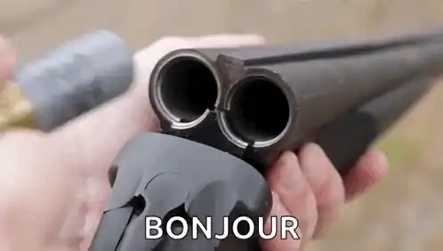 loadingdoublebarrelshotgun.webp