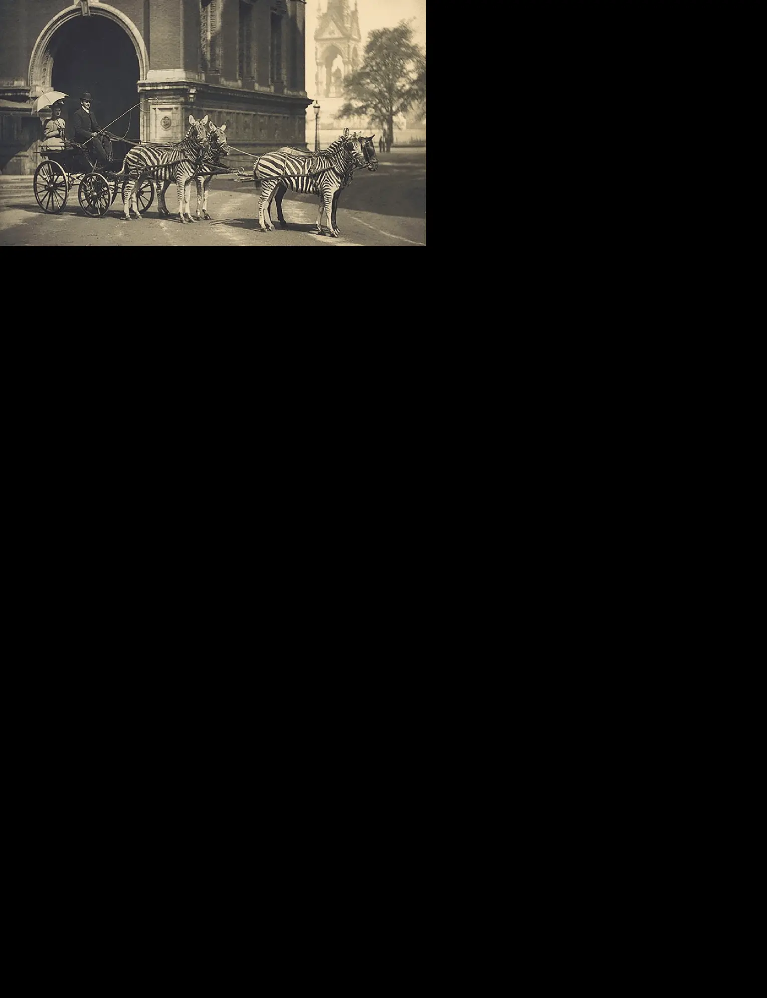 Lord-Walter-Rothschilds-carriage-drawn-by-zebras-and-a-disguised-horse-in-front-of-the.png