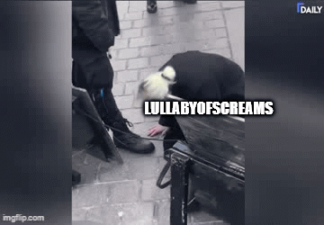 lulbabyofscreams.gif