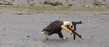 machinegun.gif