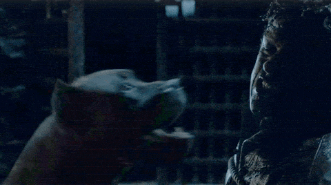 main-qimg-fe705ae93cbf2e8c98d06832a131167e.gif