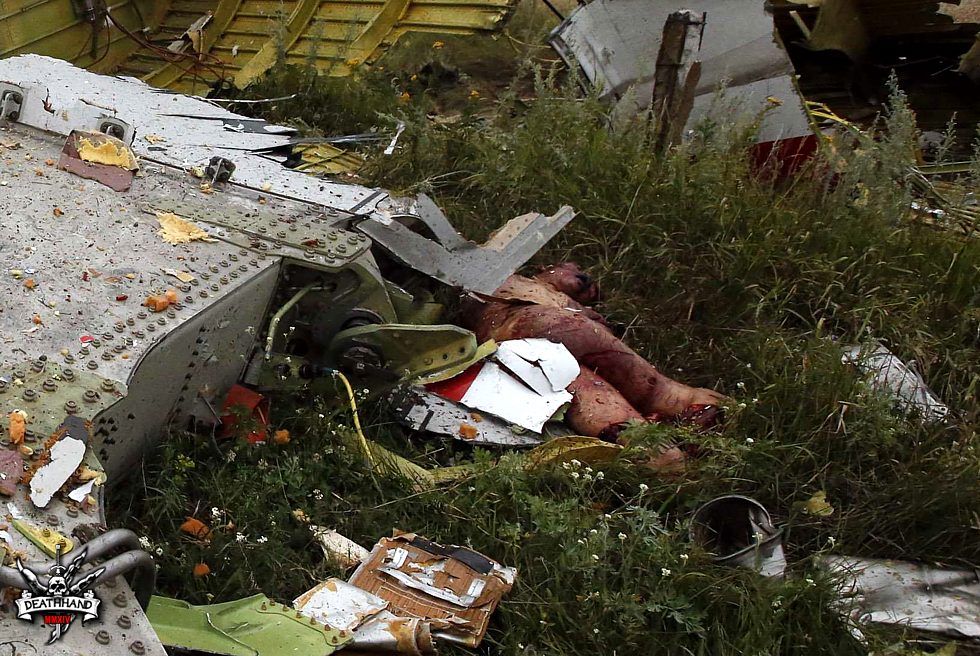 malaysia-airliner-shot-down-bodies-10-Donetsk-UA-jul17-14.jpg
