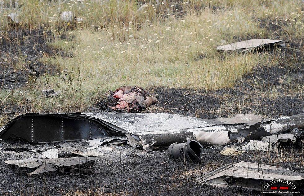 malaysia-airliner-shot-down-bodies-31-Donetsk-UA-jul17-14.jpg