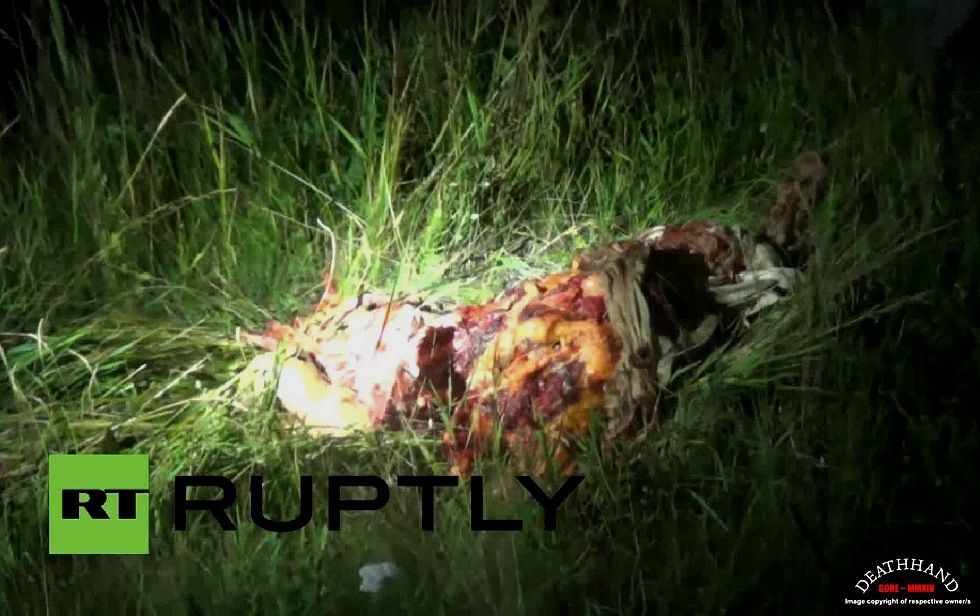 malaysia-airliner-shot-down-bodies-39-Donetsk-UA-jul17-14.jpg
