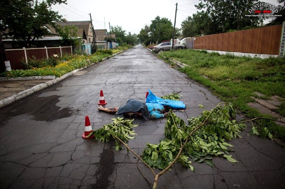 malaysia-airliner-shot-down-bodies-43-Donetsk-UA-jul17-14.jpg