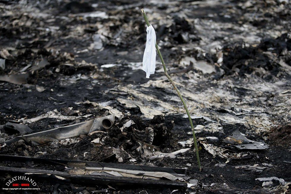 malaysia-airliner-shot-down-bodies-47-Donetsk-UA-jul17-14.jpg