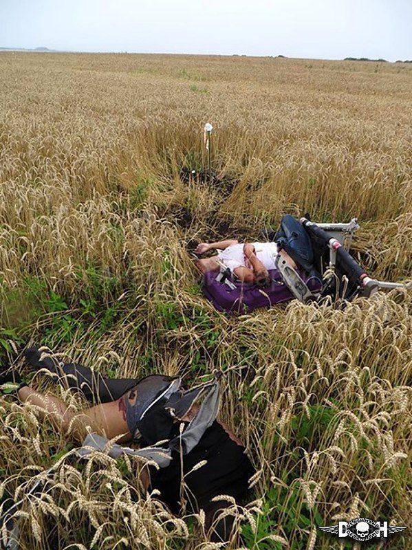 malaysia-airliner-shot-down-bodies-86-Donetsk-UA-jul17-14.jpg
