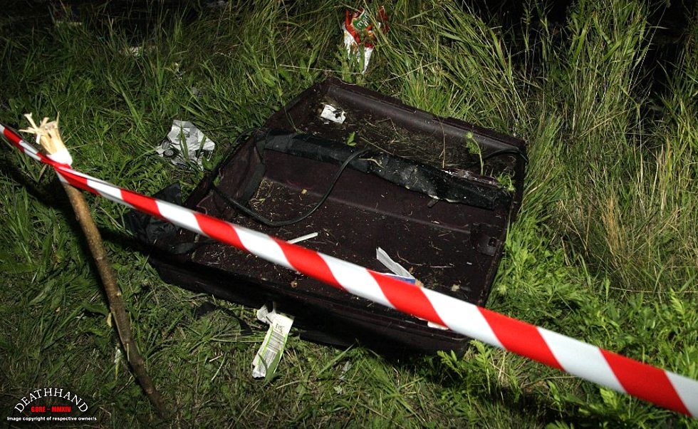 malaysia-airliner-shot-down-wreckage-49-Donetsk-UA-jul17-14.jpg