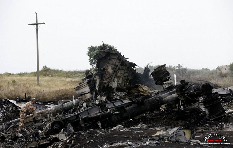 malaysia-airliner-shot-down-wreckage-51-Donetsk-UA-jul17-14.jpg