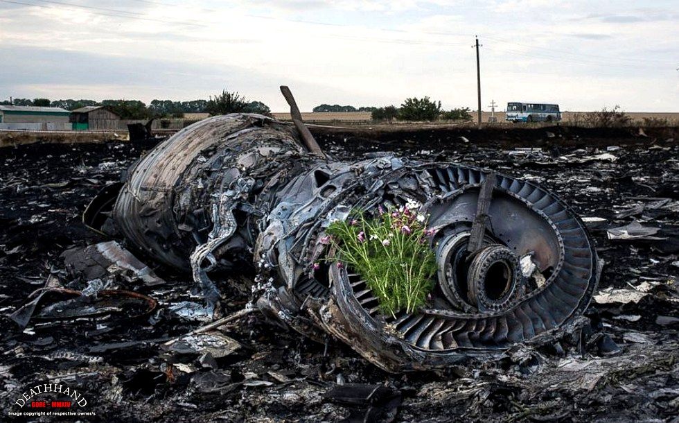 malaysia-airliner-shot-down-wreckage-57-Donetsk-UA-jul17-14.jpg