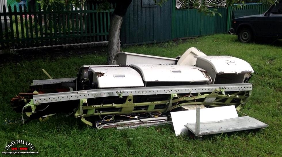 malaysia-airliner-shot-down-wreckage-63-Donetsk-UA-jul17-14.jpg