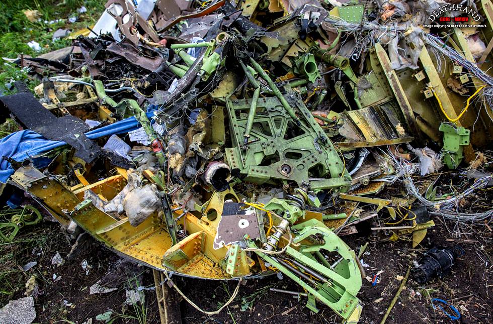 malaysia-airliner-shot-down-wreckage-72-Donetsk-UA-jul17-14.jpg